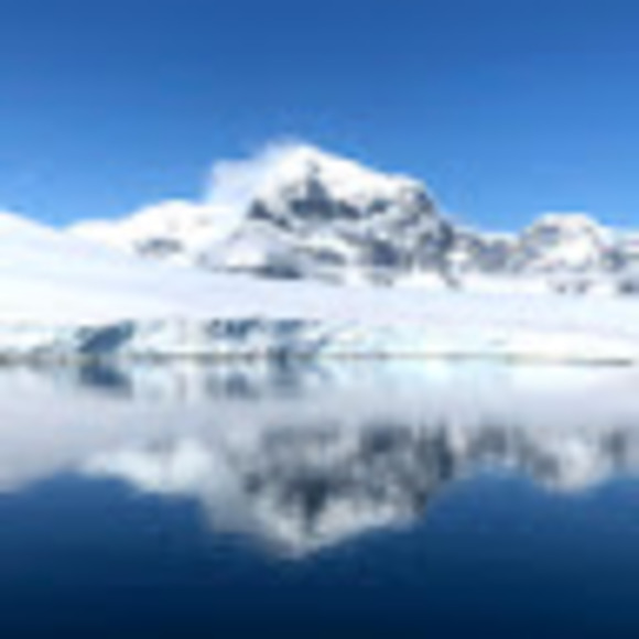 Meet your Posher, Yael - Picture 1 of 1